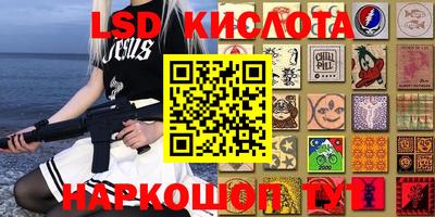 шишки Балашиха