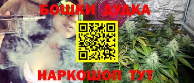 шишки Балашиха