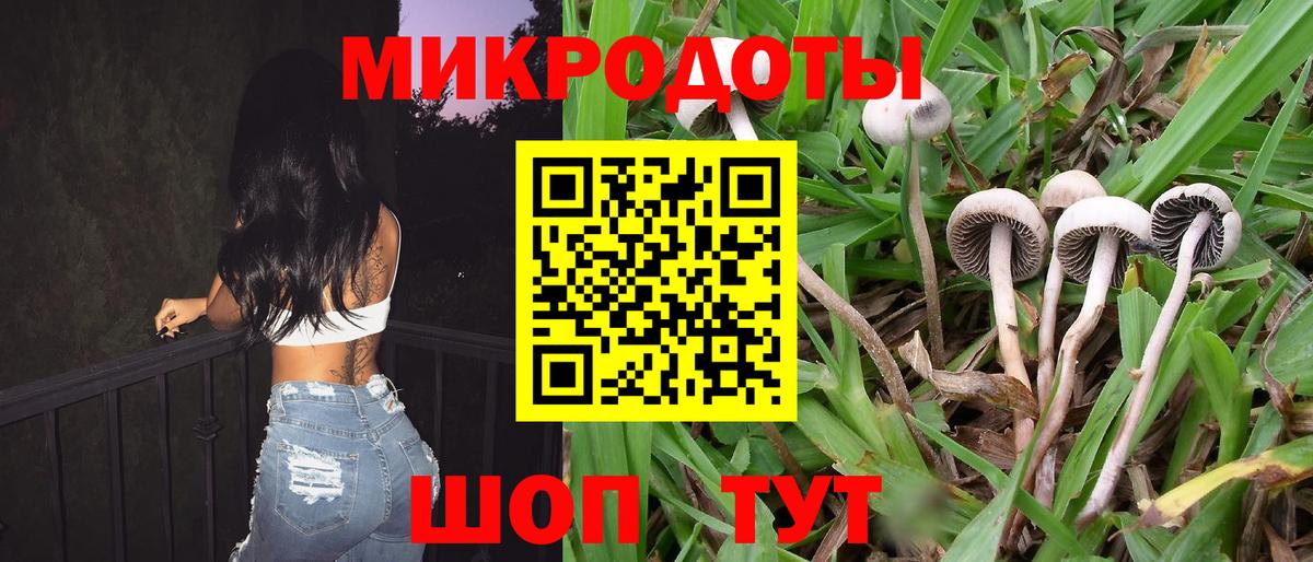 цены   Галлюциногенные грибы мухоморы  Губкинский  Вход с VPN  Галлюциногенные грибы Psilocybine cubensis 
